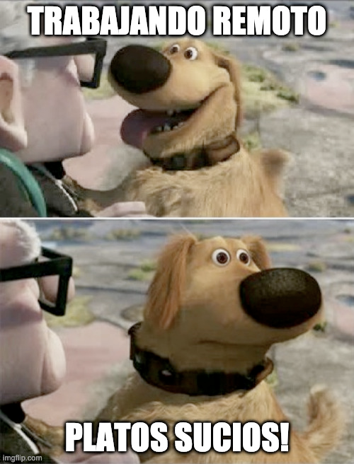 Perrito de Up! desconcentrándose por los platos sucios